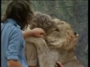 Christian the Lion (2009)