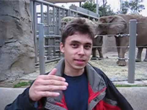 Me At The Zoo