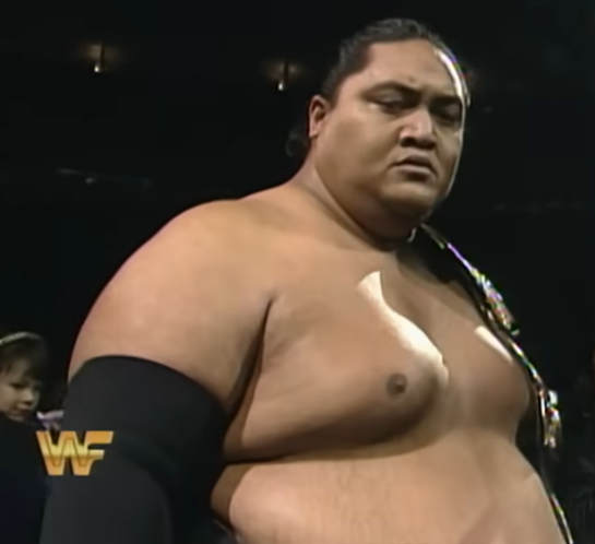 Yokozuna