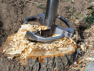 Best Way To Remove A Tree Stump