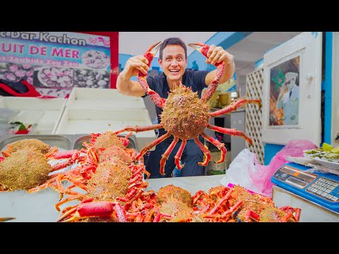 Spider Crab & Moroccan Street Food in Casablanca!